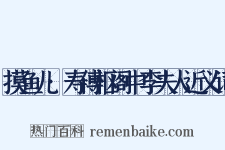 摸鱼儿·寿傅枢阁中李夫人近义词是什么意思的图片